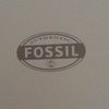 fossil_10